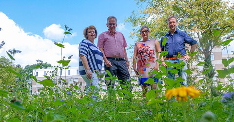 Da fühlt man sich wie Biene Maja – Annelie Kadler, Pflegedirektorin am KRH Klinikum Großburgwedel, Ideengeber Oliver Brandt, Dr. Antje Hoffman, Ärztliche Direktorin am KRH Klinikum Großburgwedel, und Landwirt Jörg Heuer begutachten, wie gut die Blumensaat das Sommerwetter verkraftet hat (v. l.).