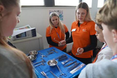 Eindrücke vom Zukunftstag 2026 aus allen KRH Häusern.