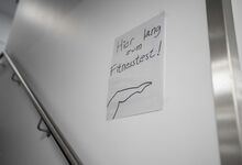 Die Mutigen machten den Fitnesstest der Physiotherapie.