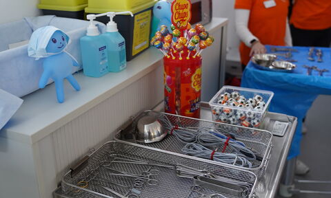 Eindrücke vom Zukunftstag 2026 aus allen KRH Häusern.