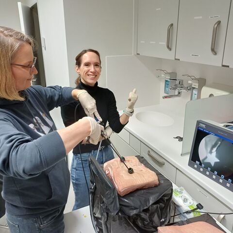 Endoskopische Übungen