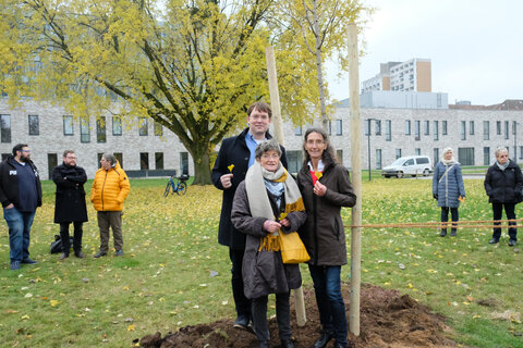  Pflanzung eines Ginkgos auf dem Siloah-Gelände